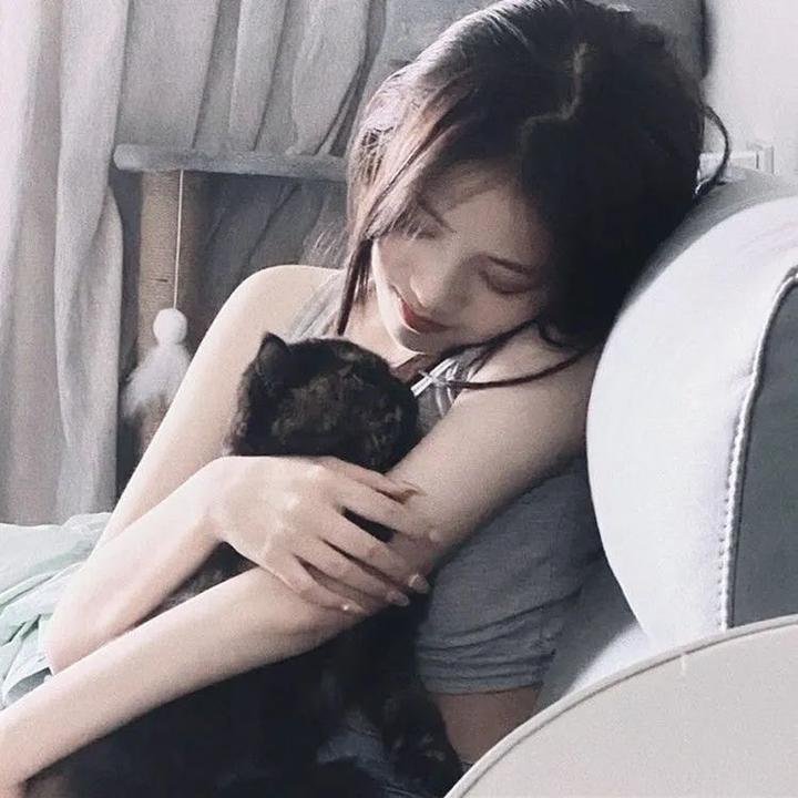 王室教师海涅剧场版